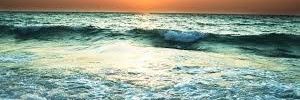 luana43321's profile banner image