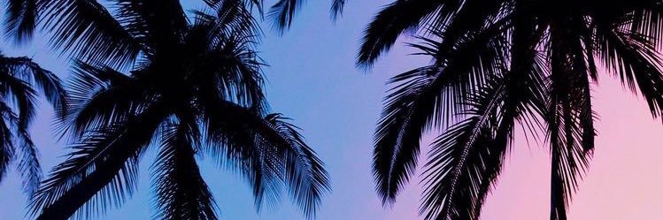 a6inchturtle's profile banner image