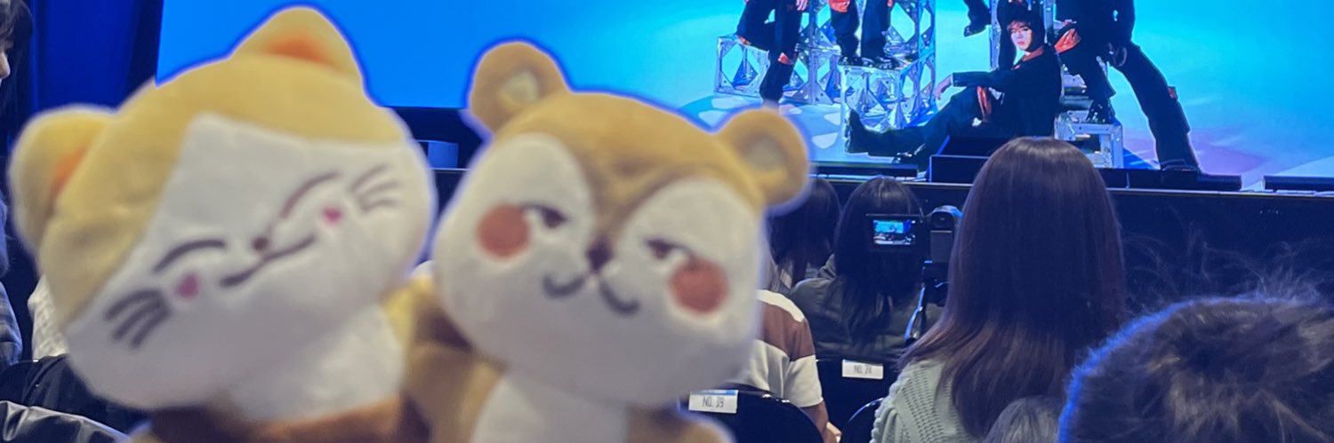 영 banner