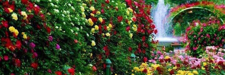 R2Narayanareddy's profile banner image