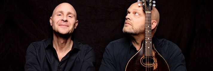 die feisten banner