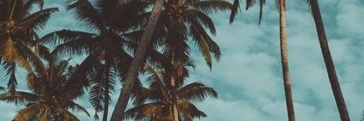noeeliaa's profile banner image