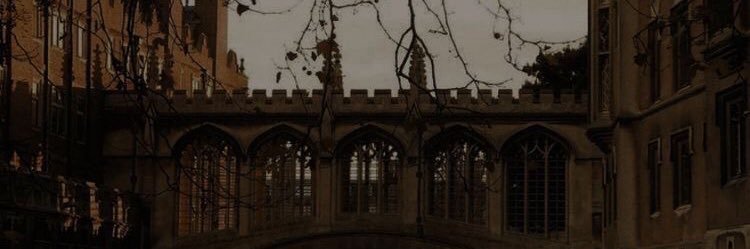 negatareborn's profile banner image