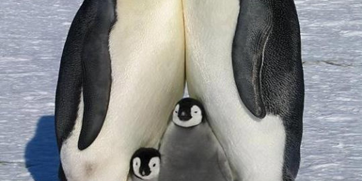 alannamum's profile banner image