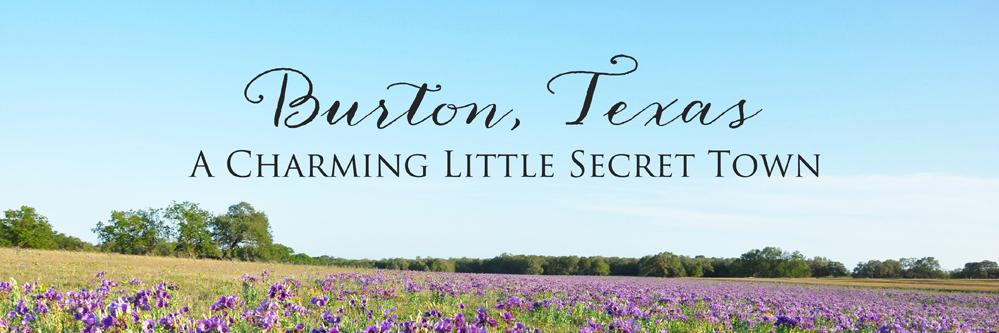 BurtonTexas's profile banner image