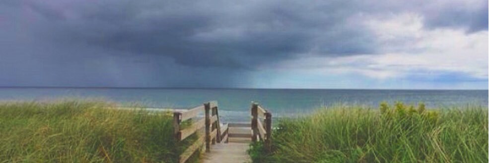 harmonylyons14's profile banner image