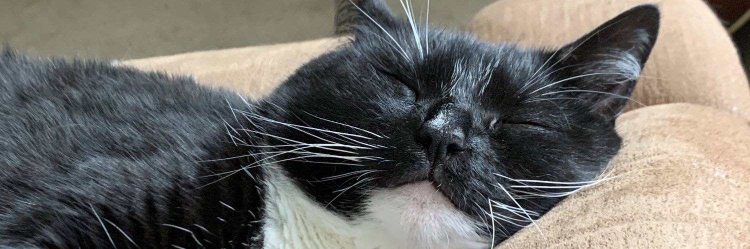 doubleohchlo's profile banner image