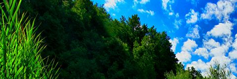 RKeruboh's profile banner image