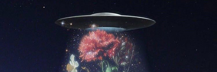 BaniAlien's profile banner image