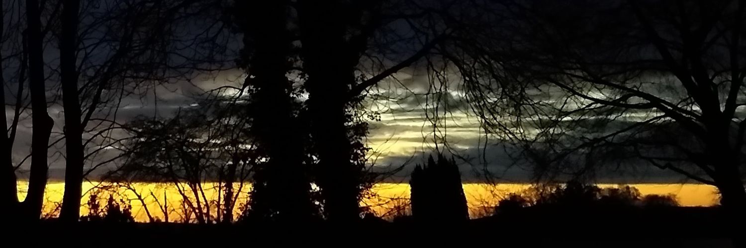 🕷️teablott 🇺🇦💚🇪🇺 banner