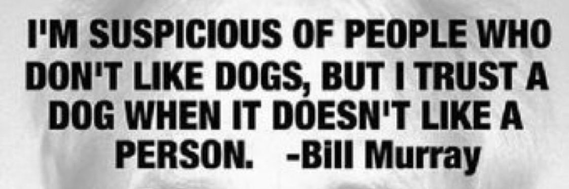 Rick_Nelson_33's profile banner image