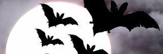 gothtink's profile banner image