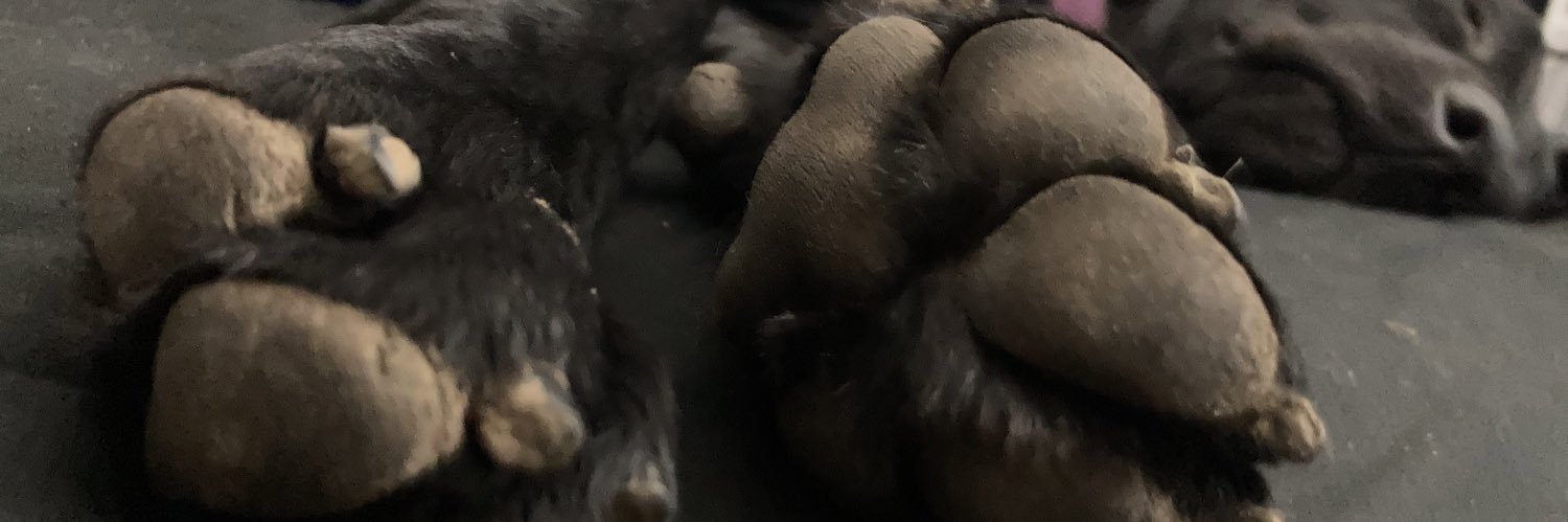 StraderNumber3's profile banner image