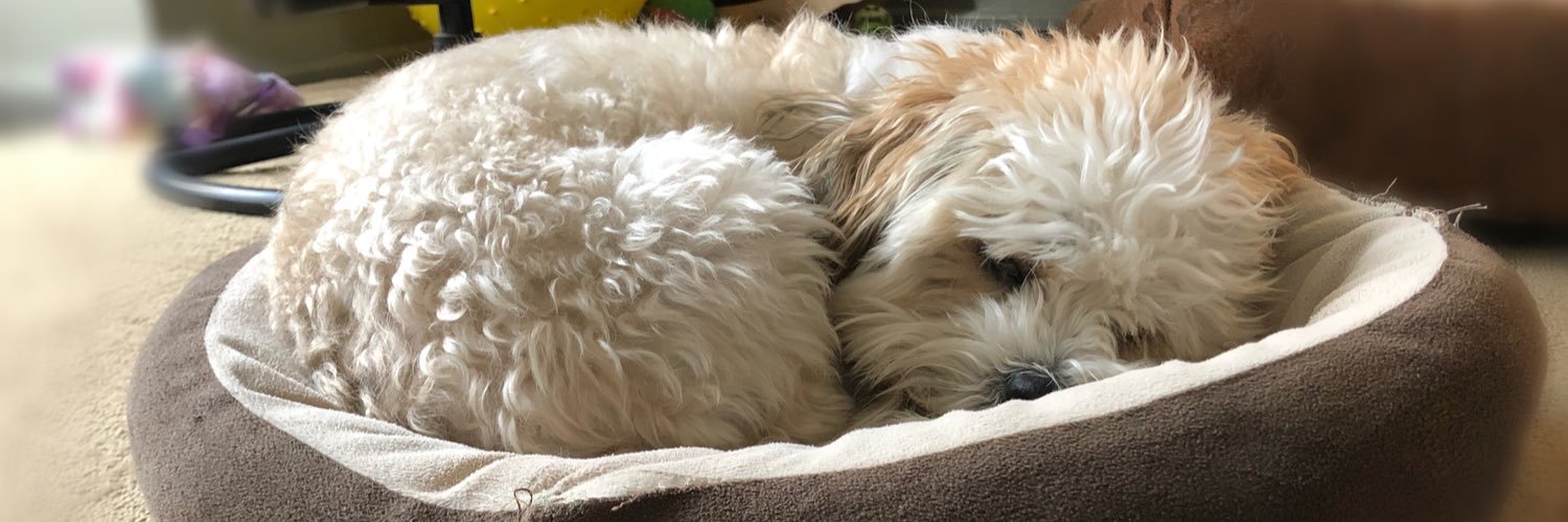 itsko24's profile banner image