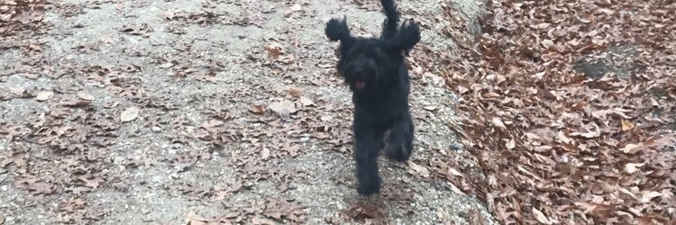 rayNbow5's profile banner image