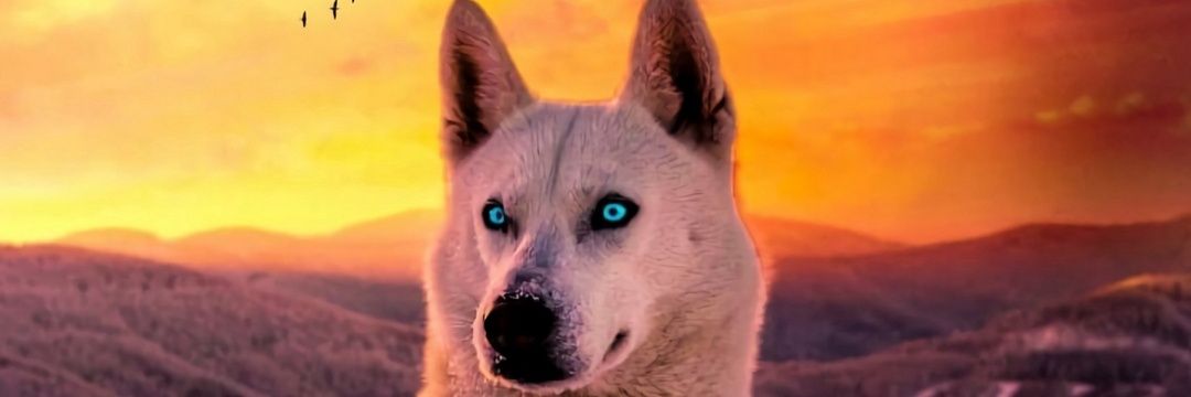 KyleShyle12's profile banner image