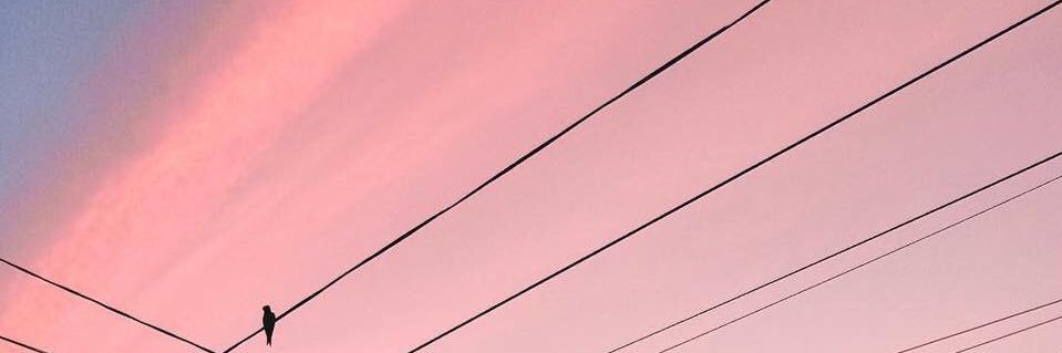 แมวเศร้า 😿🐈 banner