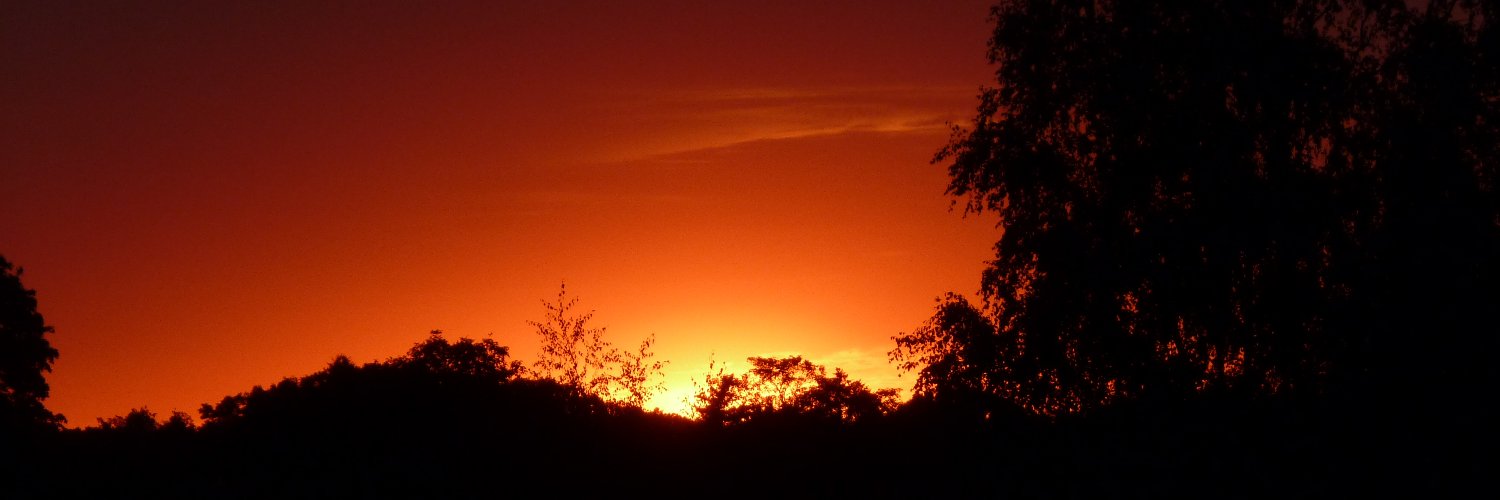 Needlemind Berlin banner