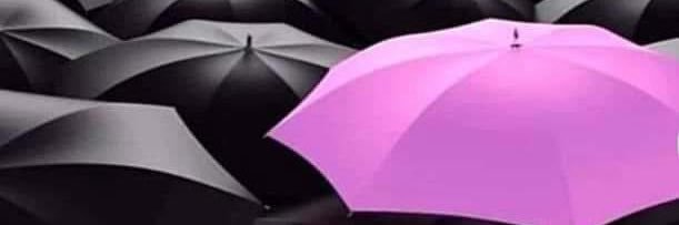 biosciencemajor's profile banner image