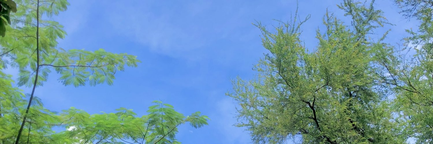 Ptrisonia's profile banner image