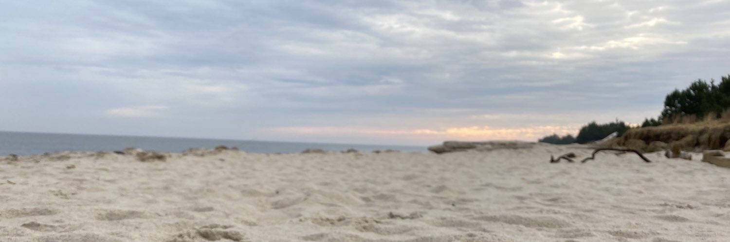 gracefulsparrow's profile banner image