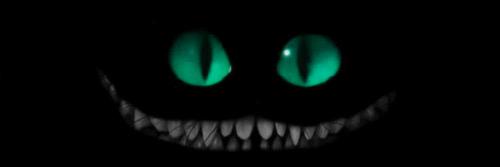 Lizz_MixBreed's profile banner image
