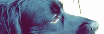 CH_5187's profile banner image