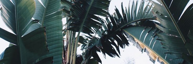 justbusydreamin's profile banner image