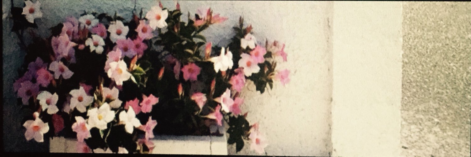 miss_bs1's profile banner image