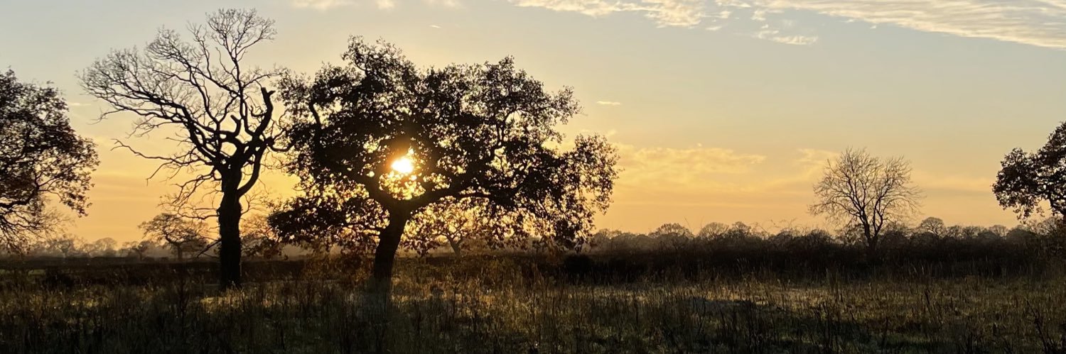 oscarbsmith's profile banner image