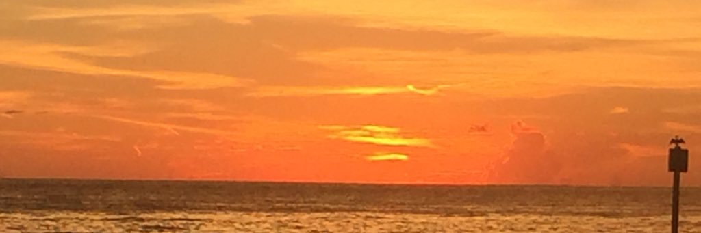 ThomasParee's profile banner image