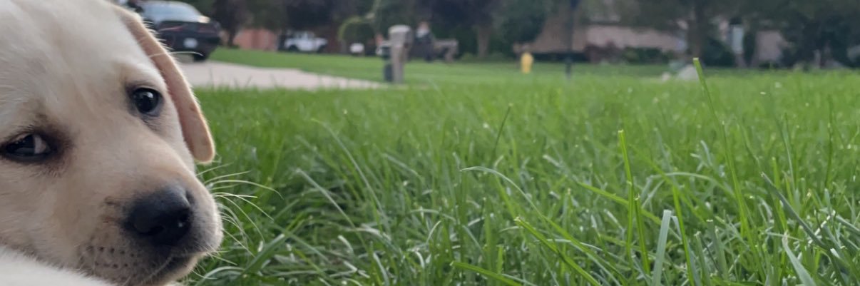 jaredbrzyski's profile banner image