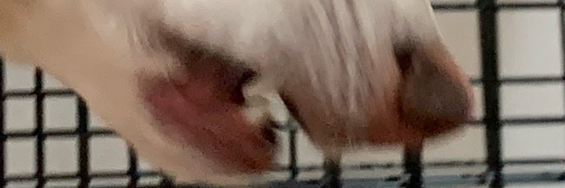 eepybinber's profile banner image