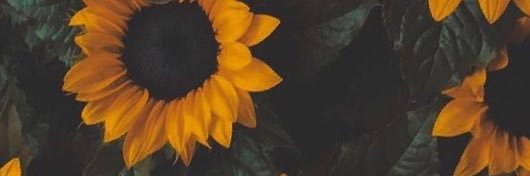 ImKiante's profile banner image