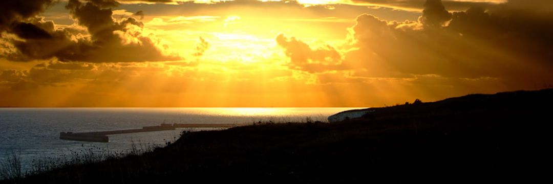 Daniel banner