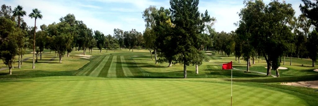 Kay Cornelius banner