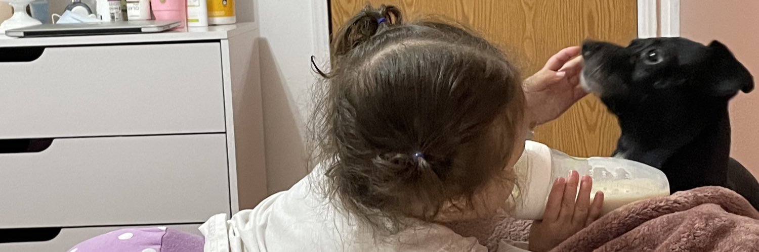 _sindeerella's profile banner image
