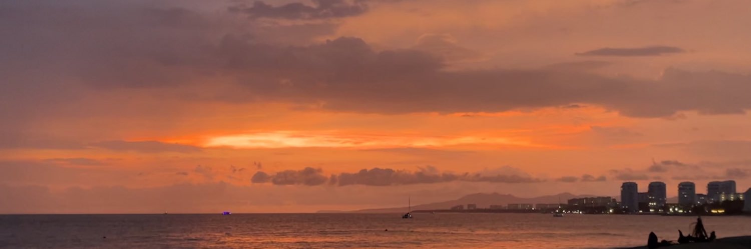 alexiaGallardoP's profile banner image