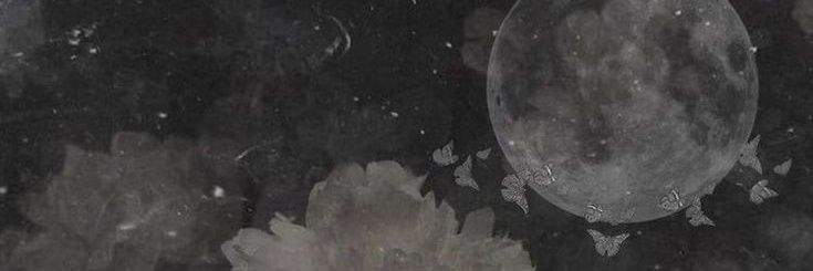 primkahale's profile banner image