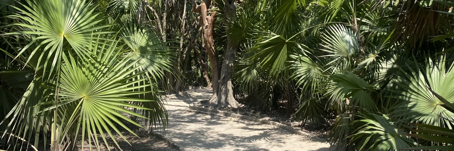 moises_vllrrl's profile banner image