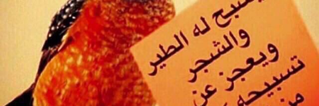 Salhamli3's profile banner image