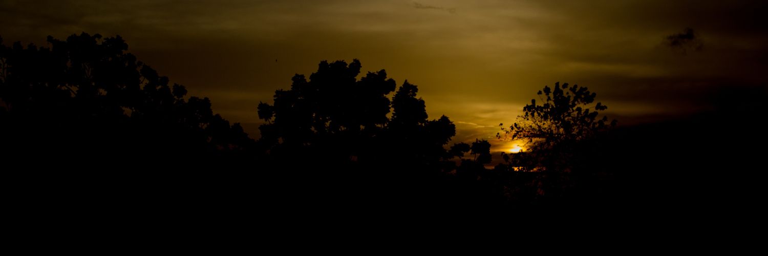 aop_masterpiece's profile banner image