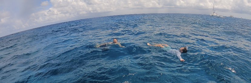 RyanWilliams_2's profile banner image