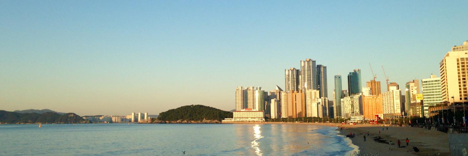 🎗Mint 🐠 banner