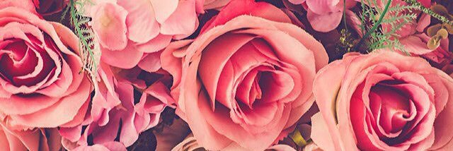 CinderLena's profile banner image