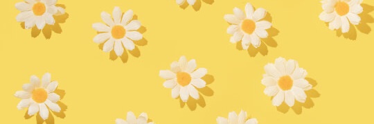 KeeleyFarrell's profile banner image