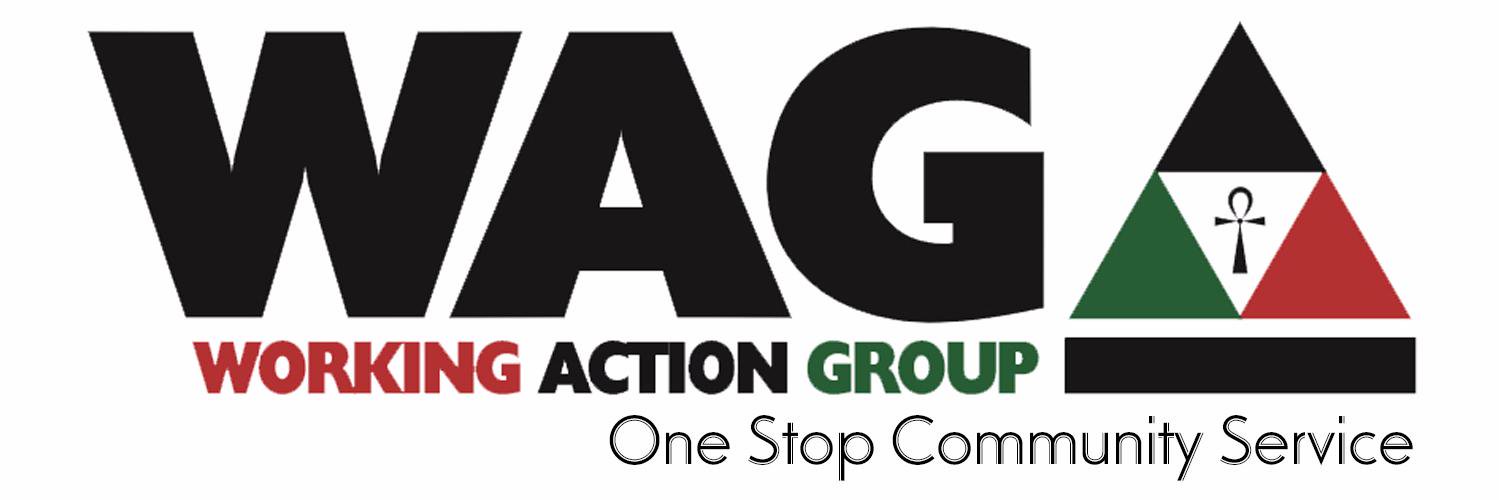 waginfo's profile banner image