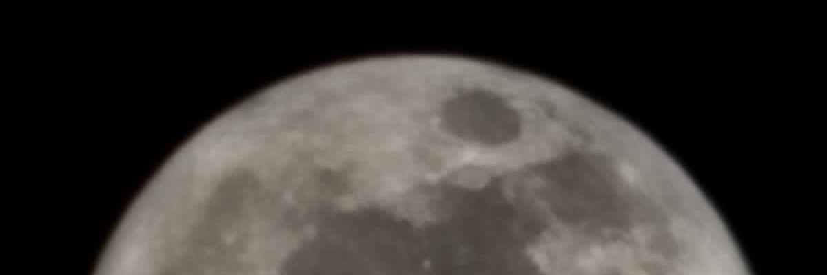 dilalaila's profile banner image