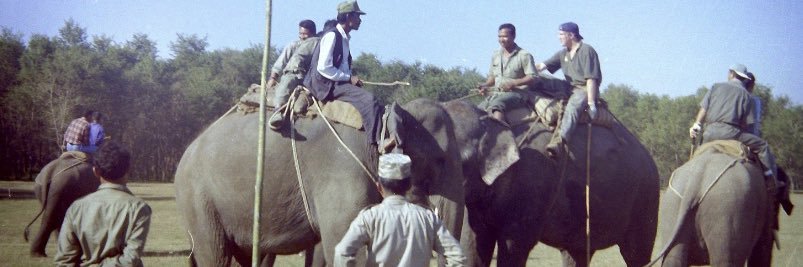 Thomas Pearson banner