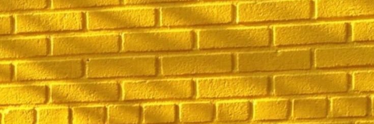 regimeiliani's profile banner image